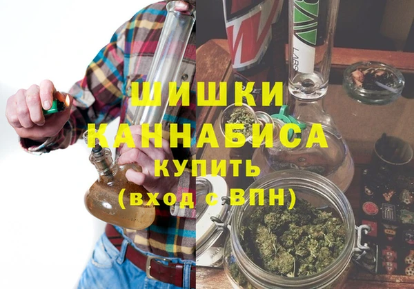 шишки Балабаново