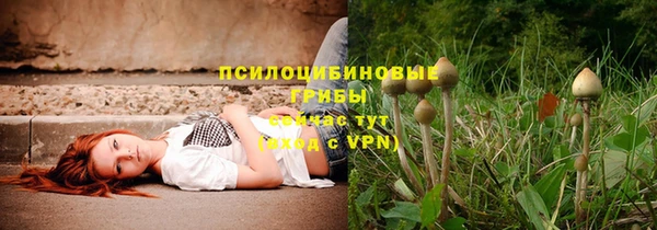 шишки Балабаново