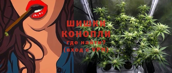 шишки Балабаново