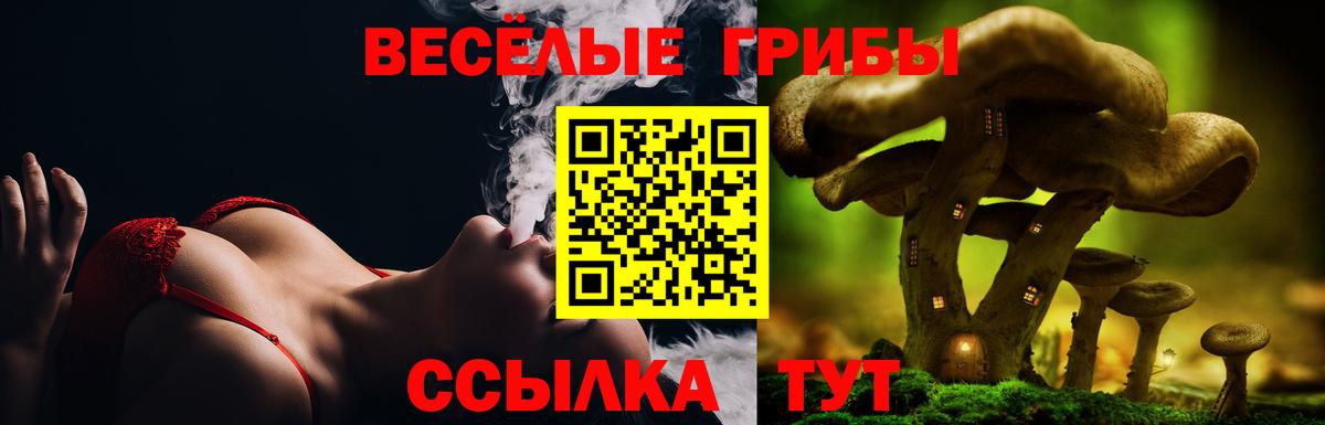 Галлюциногенные грибы MAGIC MUSHROOMS Беслан